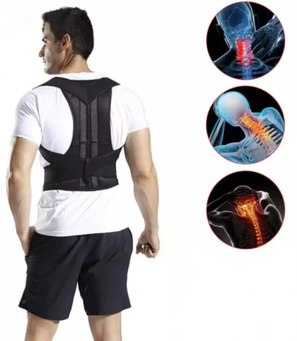 Back Support Belt